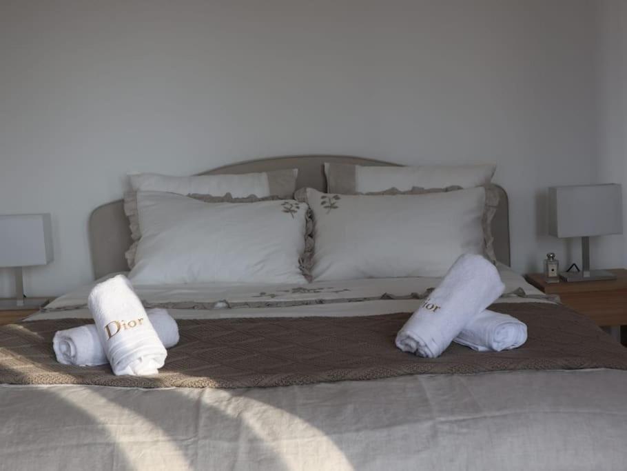 Magnifique Appartement A 5 Min De Paris Et 10 Min De L'Aeroport D'Orly 舒瓦西勒鲁瓦 外观 照片